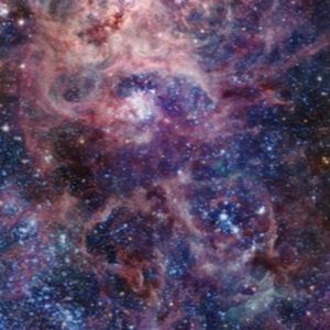 Meet your Posher, Yelena